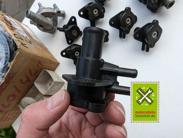 PXL_20240528_140154532